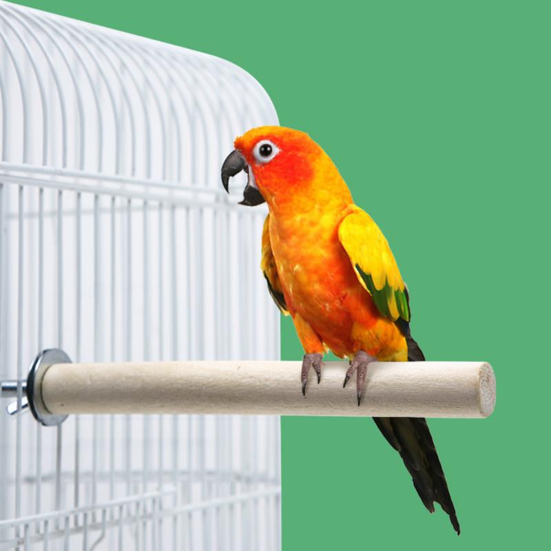 Product Introduction of Cành Đậu Cây Leo Gác Lồng Cho Sóc, Sóc Bay Úc Chim, Vẹt,.... Dài 20 và 40cm 3
