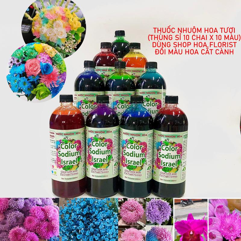 Nước nhuộm hoa tươi The Sodium Israel đổi màu theo ý muốn (Chai 1L nhuộm hơn 250 bông) gồm 12 màu cơ bản 2