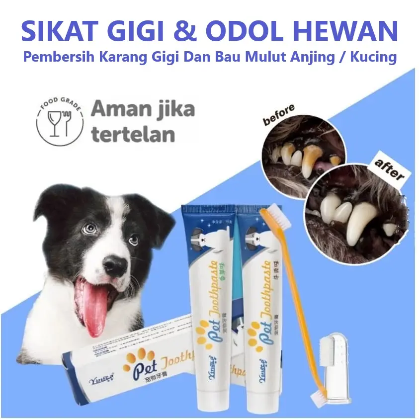 Sikat Gigi Brush Teeth Odol Toothpaste Pembersih Karang Gigi Bau Mulut Anjing Dog Puppy Kucing Cat Kitten