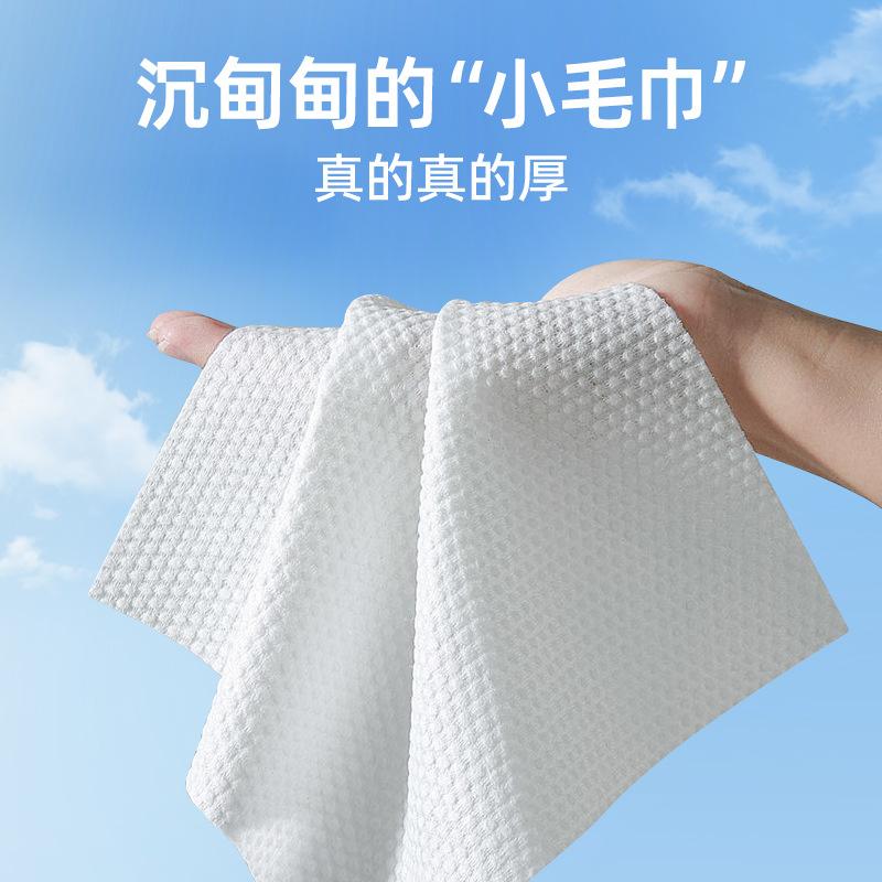 Product Introduction of 80 Sheets Large Pack Pet Wipes for Dogs and Cats, No-Rinse Deodorizing Wet Wipes, Tear Stain Cleaning Wipes, Pet Supplies 4