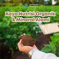 Gambar INFARM - Media Tanam Organik 10L dengan Trichoderma, Menyuburkan Tanah, Menekan Jamur dan Mempercepat Pertumbuhan Akar dari Infarm Kota Surabaya 3 Tokopedia