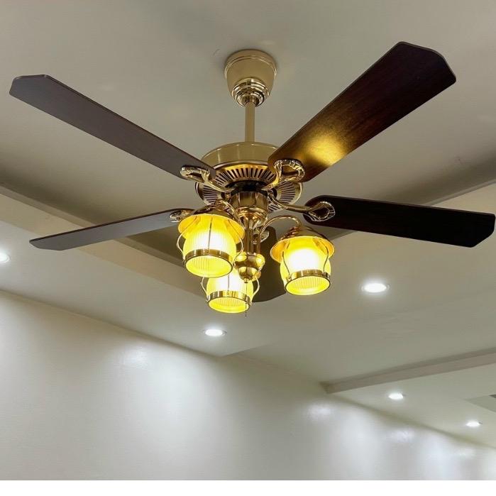 Quạt Trần 5 cánh  3 chao đèn, 6 tốc độ gió, cánh thép và gỗ sang trọng phù hợp mọi loại trần và lắp mọi không gian như bếp, phòng khách, nhà hàng, quán càe(Bảo hành 5 năm)