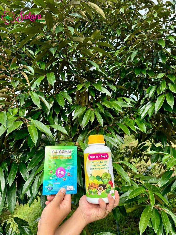 Vi lượng tổng hợp Multi Mineral cho cây sầu riêng (Gói 25g) lưu  huỳnh 4