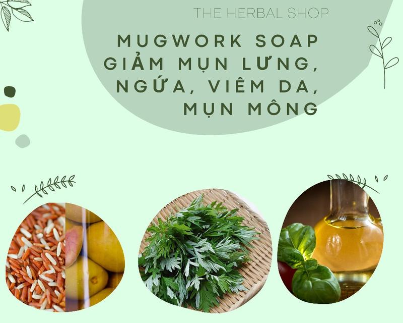 Product Introduction of Xà phòng dược thảo sạch sâu chuyên biệt dành cho da viêm ngứa, mụn lưng Dưỡng Body Sen 1