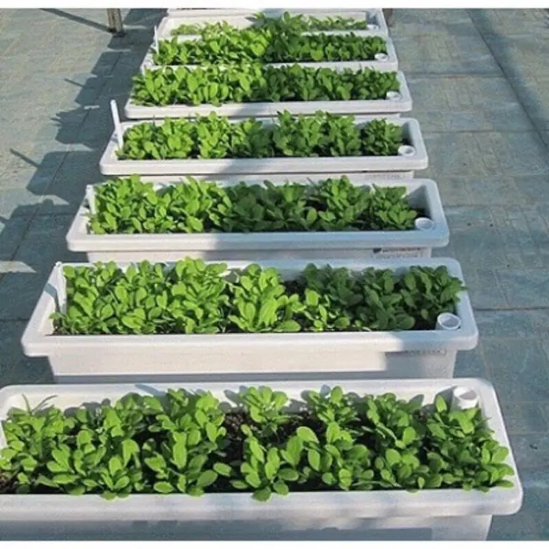 ￼Chậu nhựa hình chữ nhật trồng hoa,trồng rau,trồng cây cảnh thông minh[kt48x20x16cm]