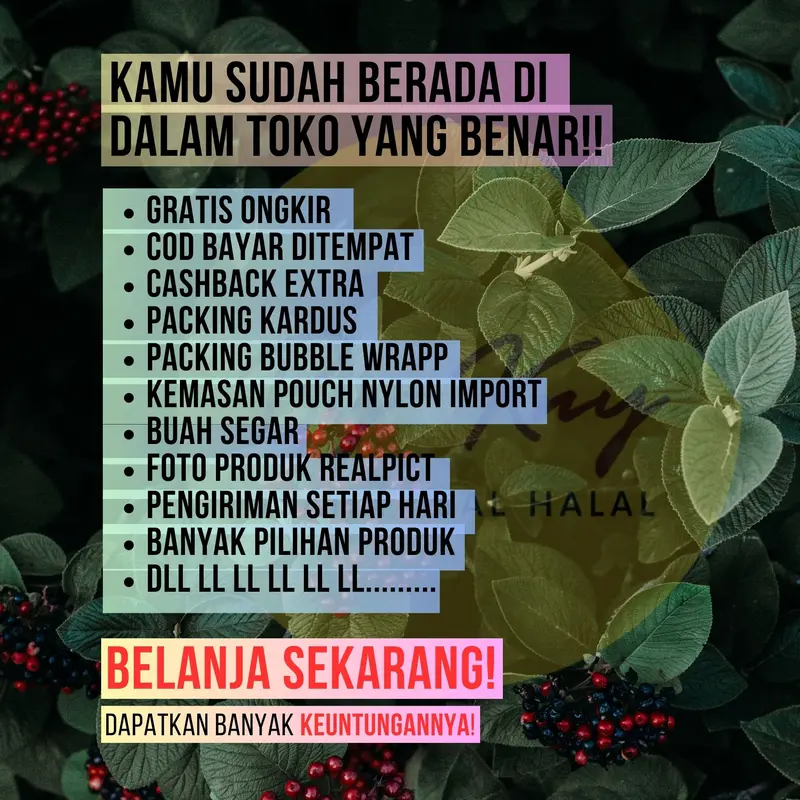 MANISAN BUAH SALAK BALI KEMASAN 250 GRAM ASINAN PEDAS ASINAN PEDAS MANISAN BUAH CIANJUR Gula Mangga Nanas Tomat 7