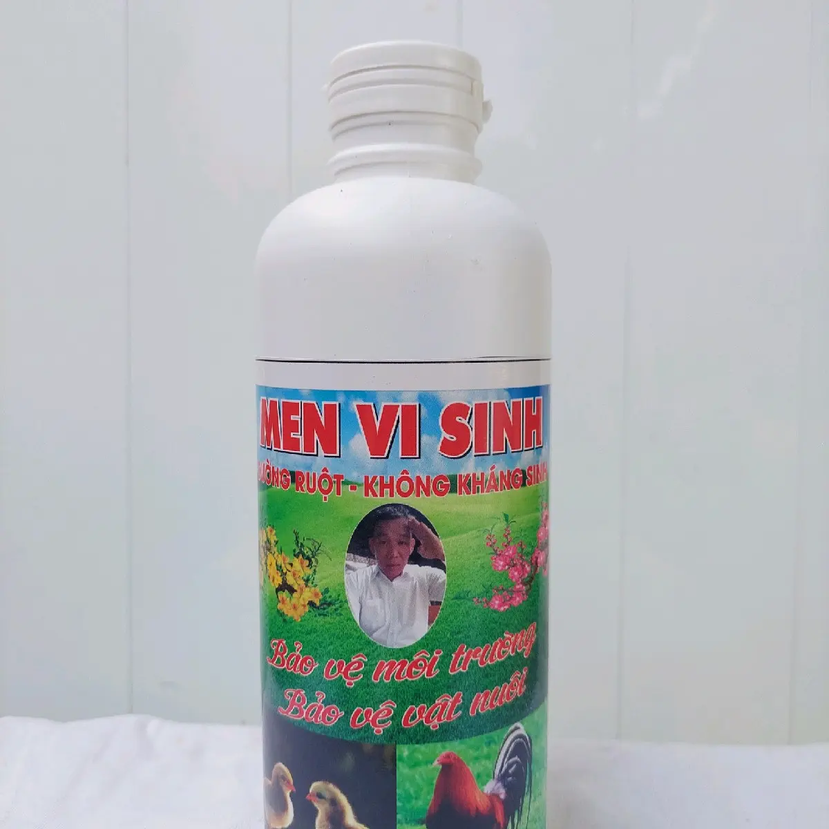 Men Vi Sinh Lactobacillus SP và Nấm Men cho Gà - Diệt Khuẩn Salmonella và Phòng Ngừa Bệnh