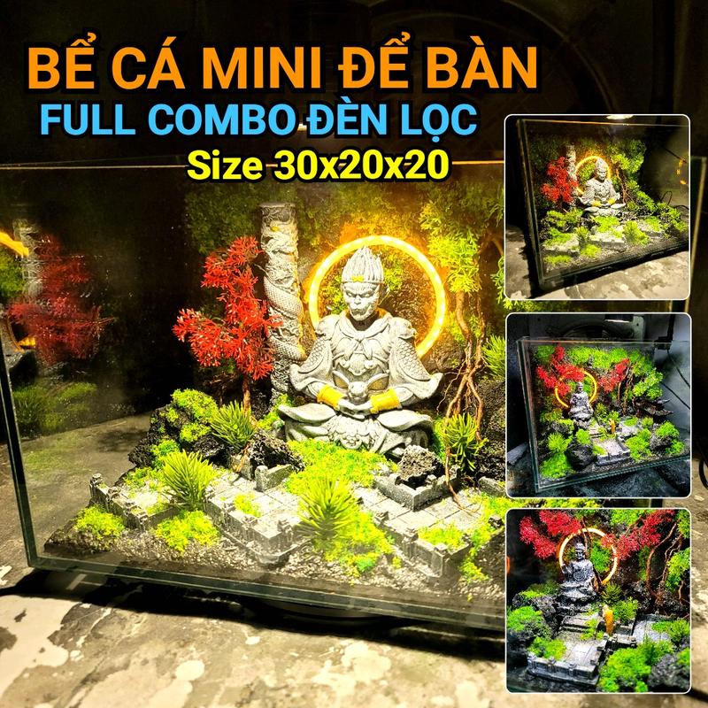 Combo bể cá để bàn thiền sư bái phật kích thước 30x20x20 phụ kiện đèn lọc đèn hào quang layout setup sẵn chỉ về thả cá