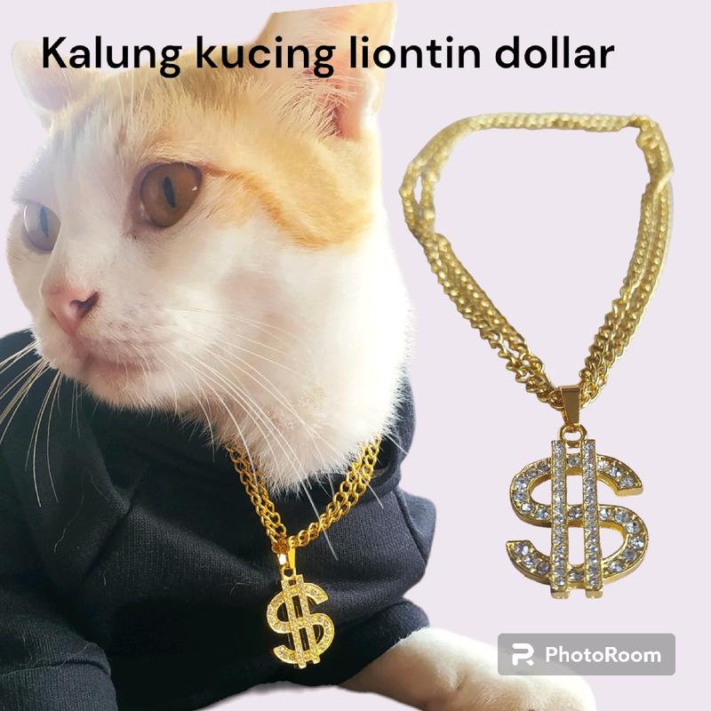 kalung kucing kalung hewan kalung anjing rantai logam warna emas liontin dollar kalungkucing nama 0
