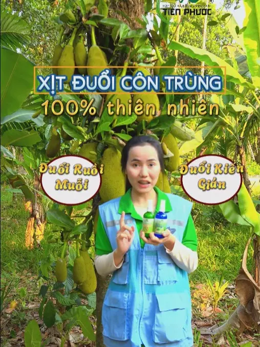 Xịt đuổi muỗi QUẾ 100ML thơm phòng HTX Nông dược xanh Tiên Phước đuổi côn trùng, khử ẩm mốc an toàn, lành tính từ thiên nhiên
