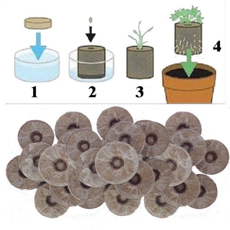  100 Viên Bầu Viên Nén Xơ Dừa Dùng Ươm Hạt Giống Trồng Cây Ươm Hạt Ươm Cây Giống Trồng Dâu Tây Ươm Cành Cây Nhanh Phát Triển 