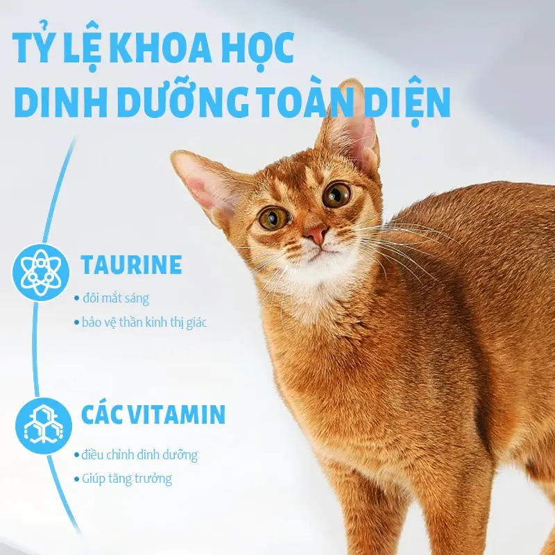 [1kg] Thức Ăn Hạt Cho Mèo MrVet - Hạt MrVet cho mèo mọi lứa tuổi 6
