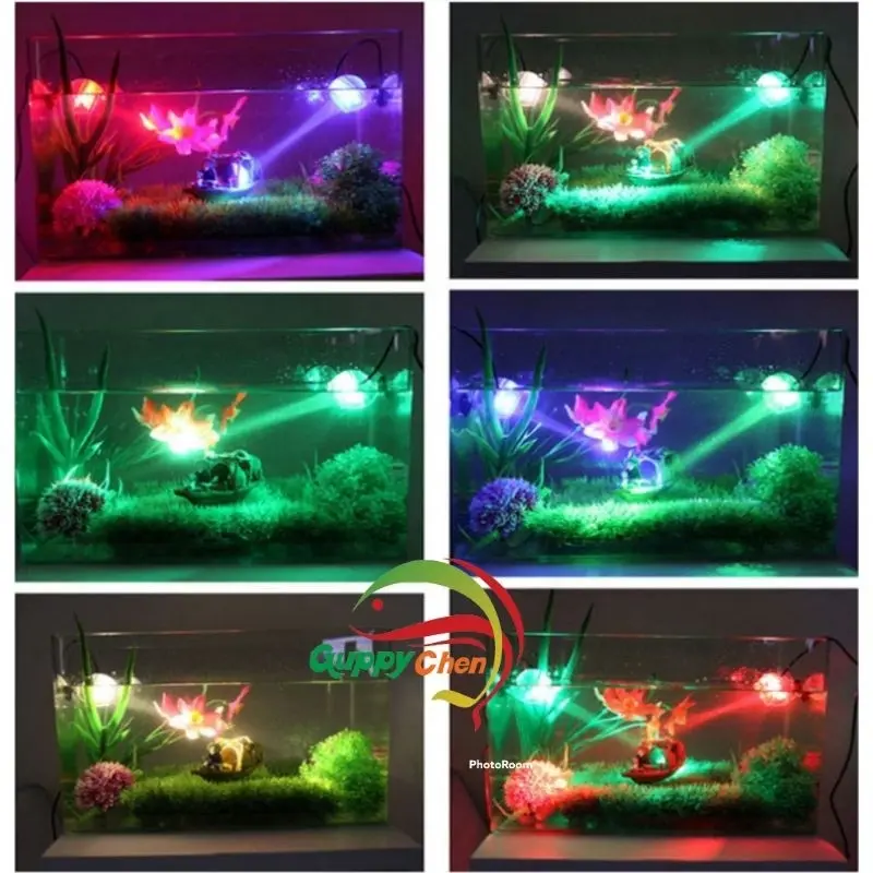 Đèn Led Trang Trí Bể Cá - Tự Động Chuyển Màu - Led Mini Lamp ( 1w ) 4