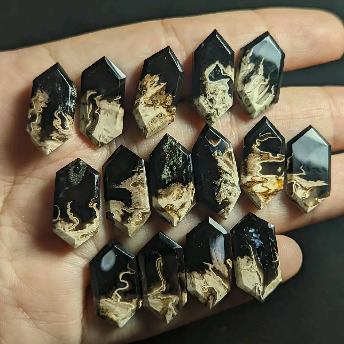 batu cincin palmroot