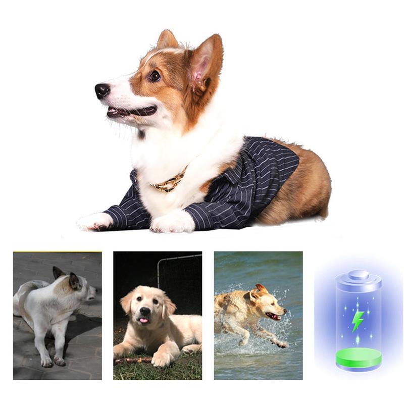 Product Introduction of Pet Dog Puppy Collar Necklace Led Collar Pendant Pet Safety Flashing Glow Light Blinking Soft Silicone Hanging Decoration Pet 16