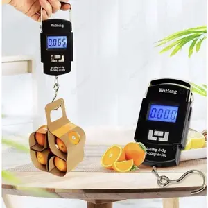 TIMBANGAN GANTUNG DIGITAL PORTABLE SCALE 50KG LS-02