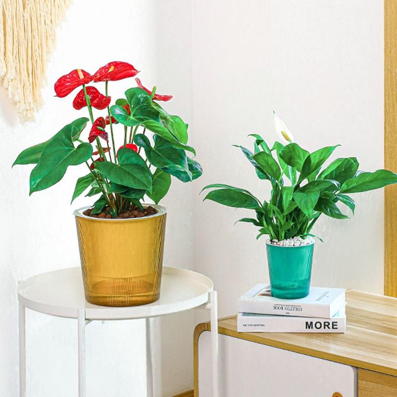 Product Introduction of Transparent circle Home Decoration With Cotton Rope Automatic Water Absorption Hydroponics Watering Planter Self-watering Self Watering Flower Pot Lazy Flowerpot 13