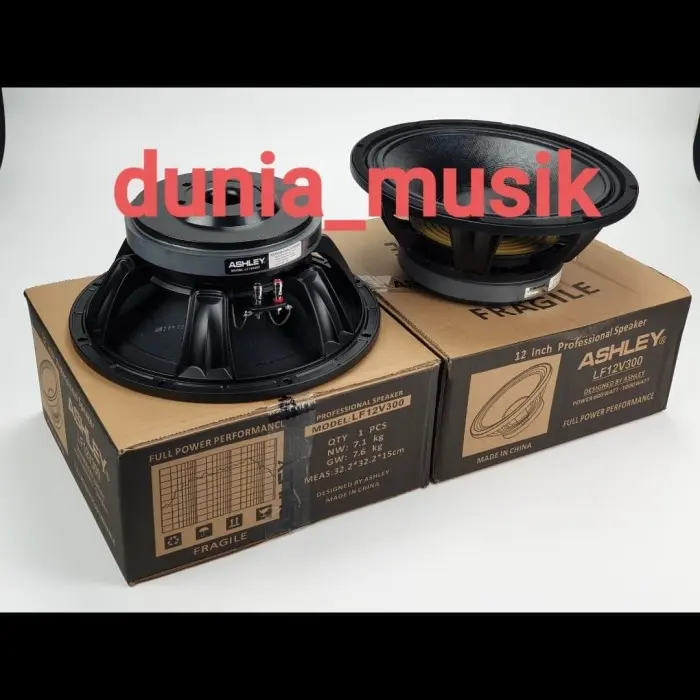 Spesial Puncak promo menarik speaker ashley LF12V300 12inch original