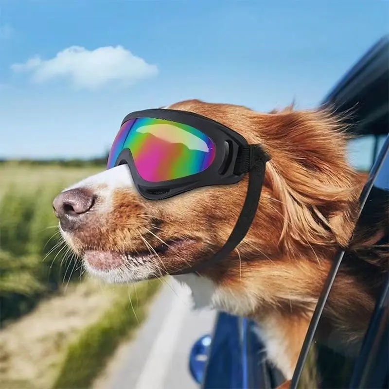 Outdoor Dog Goggles Fashion Sports Sunglasses with Adjustable Strap UV Protection for Travel Sk