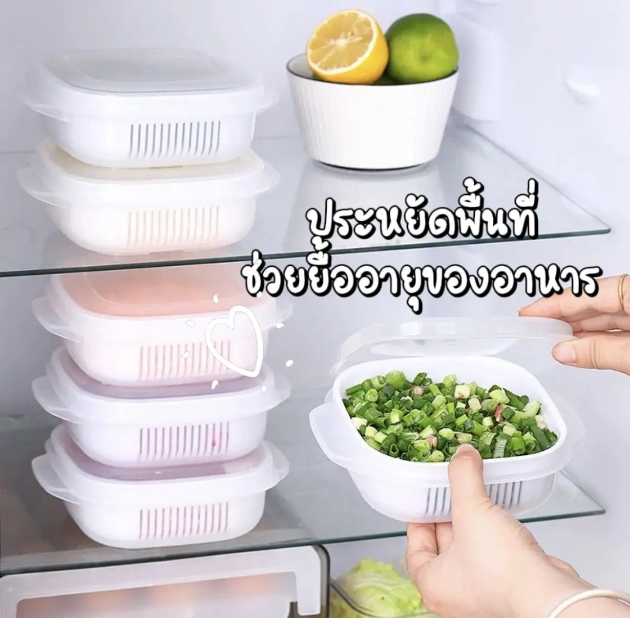 กล่องแบ่งเก็บของ กล่องแช่แข็ง กล่องอุ่นข้าวเข้าไมโครเวฟได้ กล่องอาหารกลางวันขนาดเล็ก กล่องเก็บในตู้เย็น