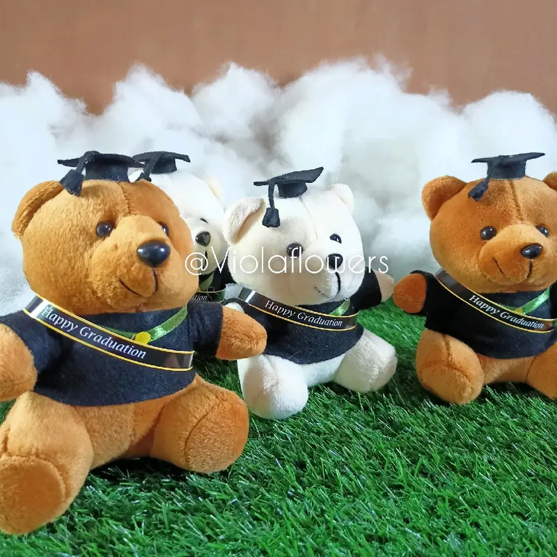 Boneka wisuda Teddy bear tinggi -/+15 cm 3