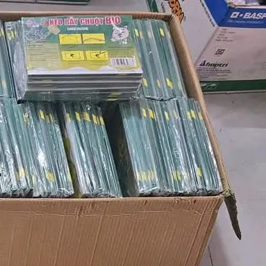 Miếng keo dán nhử chuột Bio,keo có mồi,size lớn 2