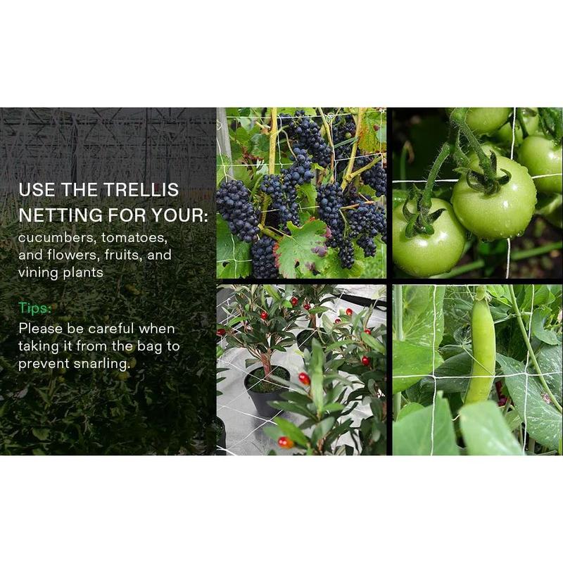 Jaring Tanaman Rambat Plants Climbing Net Polyester 1.67x10M 4