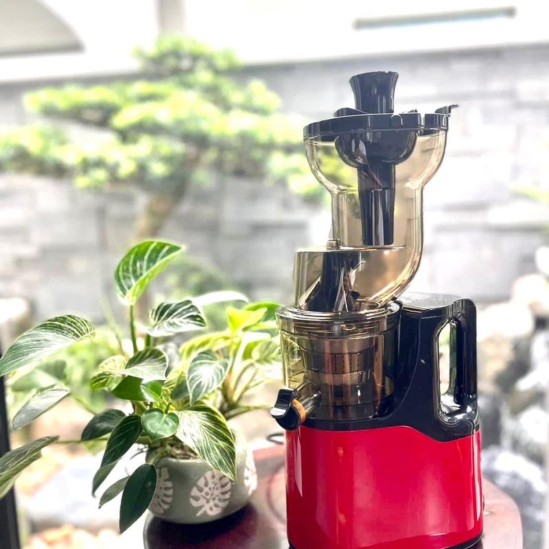 Máy Ép Chậm Máy Ép Rau Củ Quả Công Suất 250W - Bảo Hành 12 Tháng Xay Sinh Tố