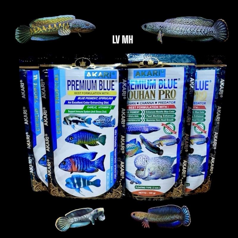 Cám AKARI Blue Hỗ Trợ Sắc Tố Xanh Dương Cho cá Lóc Lạnh cám  akari akari  blue