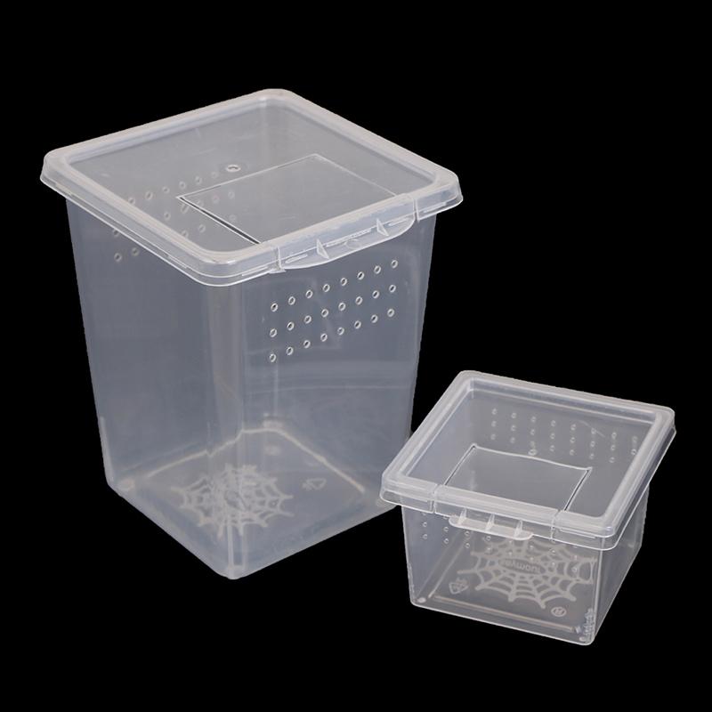 Product Introduction of Plastic Insect Spider Habitat Feeding Box Case Container Tank Transport Case Toy 11