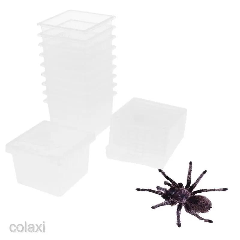 10 Pcs Reptiles Feeding Case Terrarium Hatching Container Turtle Breeding Box