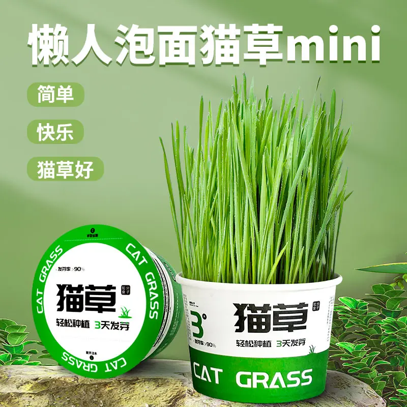 Instant Noodles Cat Grass Pot Lazy Planting Cat Grass Cup Seed Catnip Fur Cat Grass Snacks Instant Noodle Bowl Cat Grass