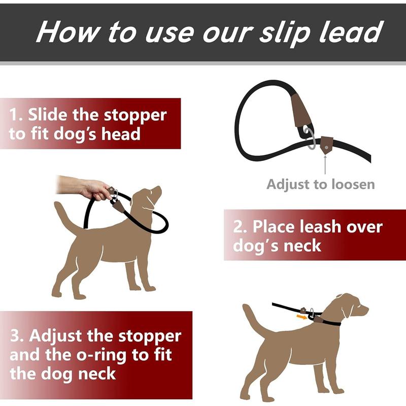 How to use a slip lead on a puppy hotsell