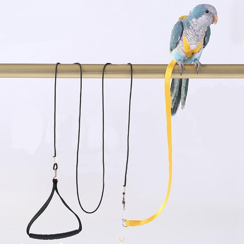 Anti-bite Flying Training Rope Parrot Bird Pet Leash Kits Ultralight ...