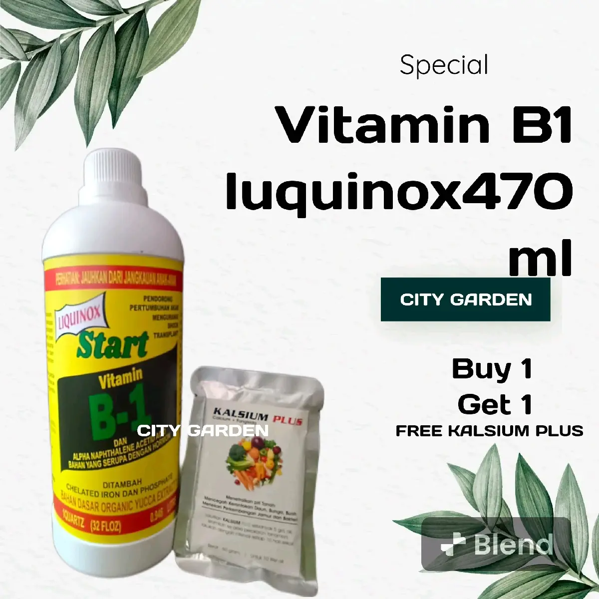 VITAMIN B1 LIQUINOX 470 ML (BELI 1 470 ML GRATIS CALSIUM PLUS 50 Gr)