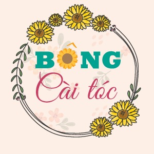 BÔNG Cài Tóc