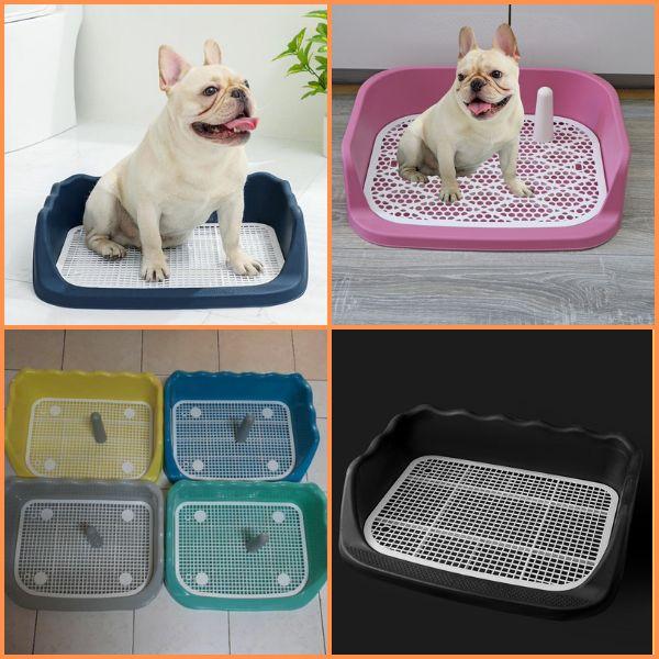 Khay Vệ Sinh Thành Cao Cho Chó, Cún, Khay Hướng Dẫn Cho Chó Đi Vệ Sinh Đúng Cách