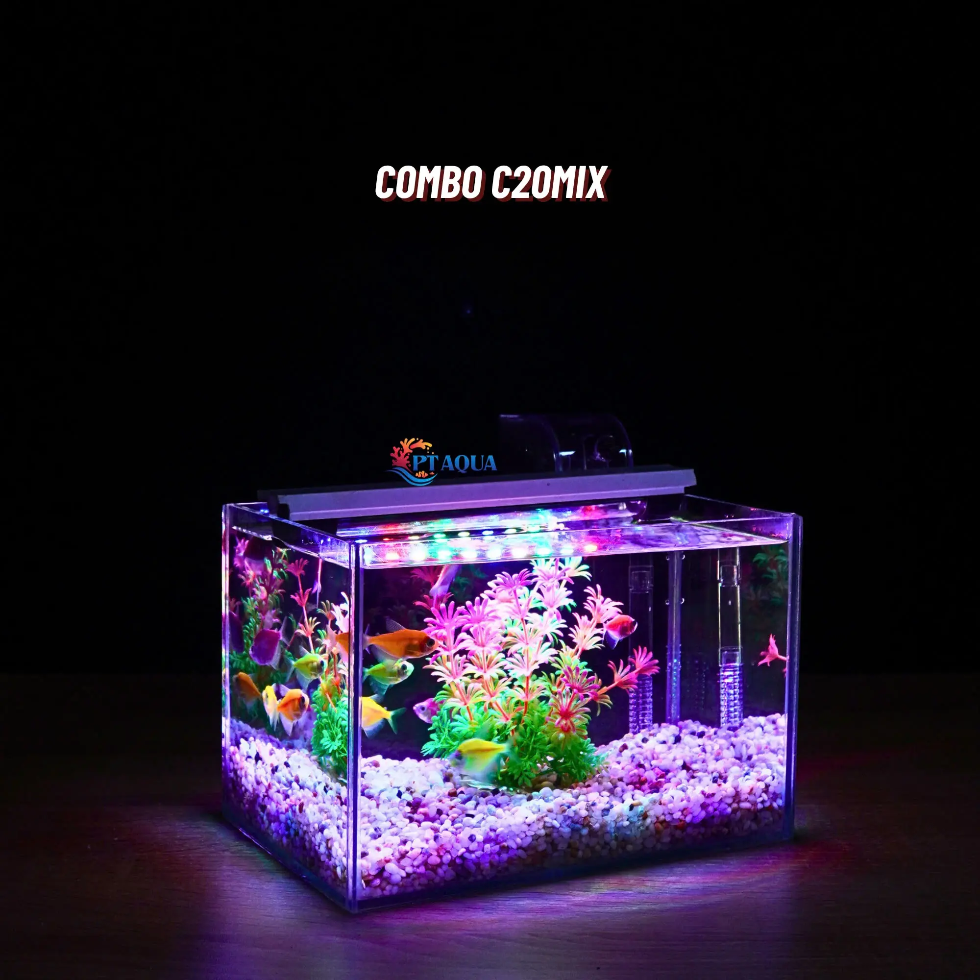 Hồ Cá Cảnh Mini 22x15x15cm Nhỏ Gọn Giá Rẻ Dễ Dàng Nuôi Cá Cảnh Mini