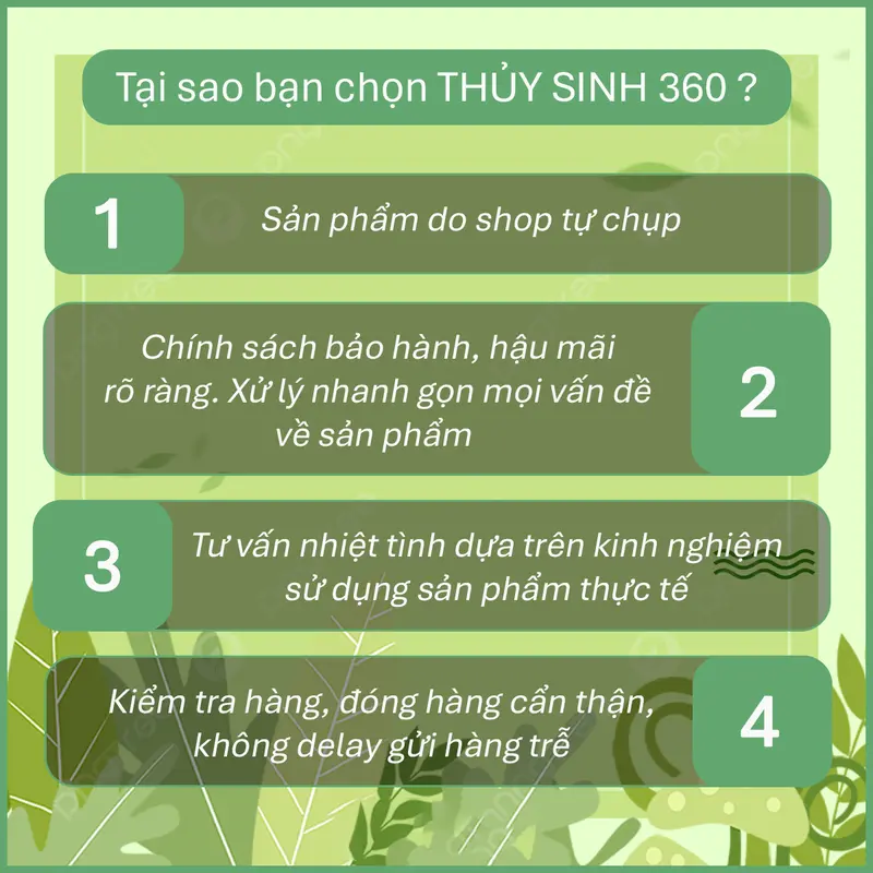 Sưởi Bể Cá RS - Sử Dụng Cho Bể Cá Cảnh, Thủy Sinh 6