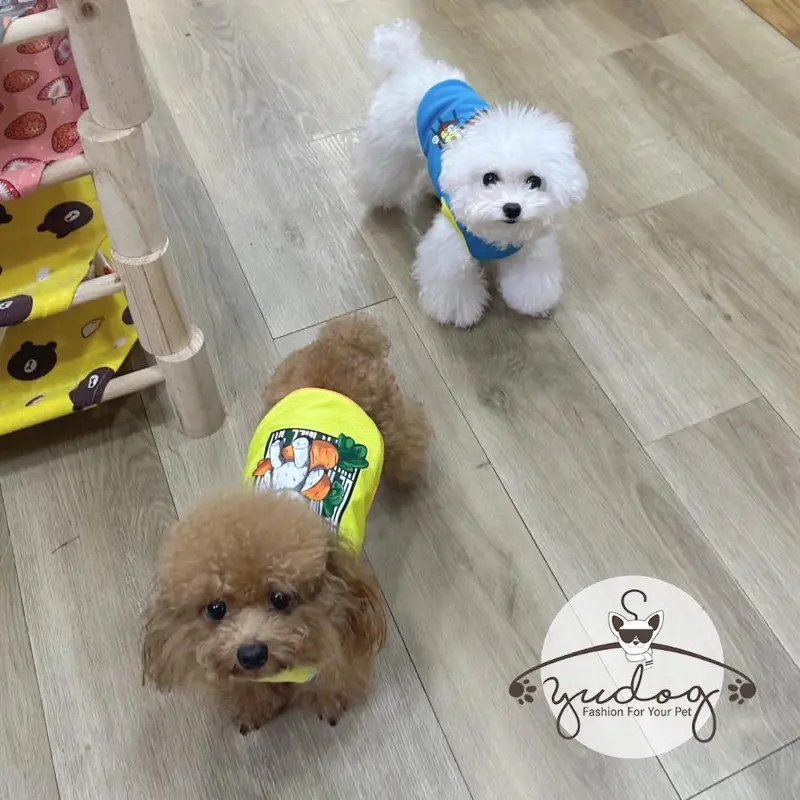 Áo mặc cho chó Yudog áo thun hoạt hình dễ thương cho thú cưng chó mèo 6