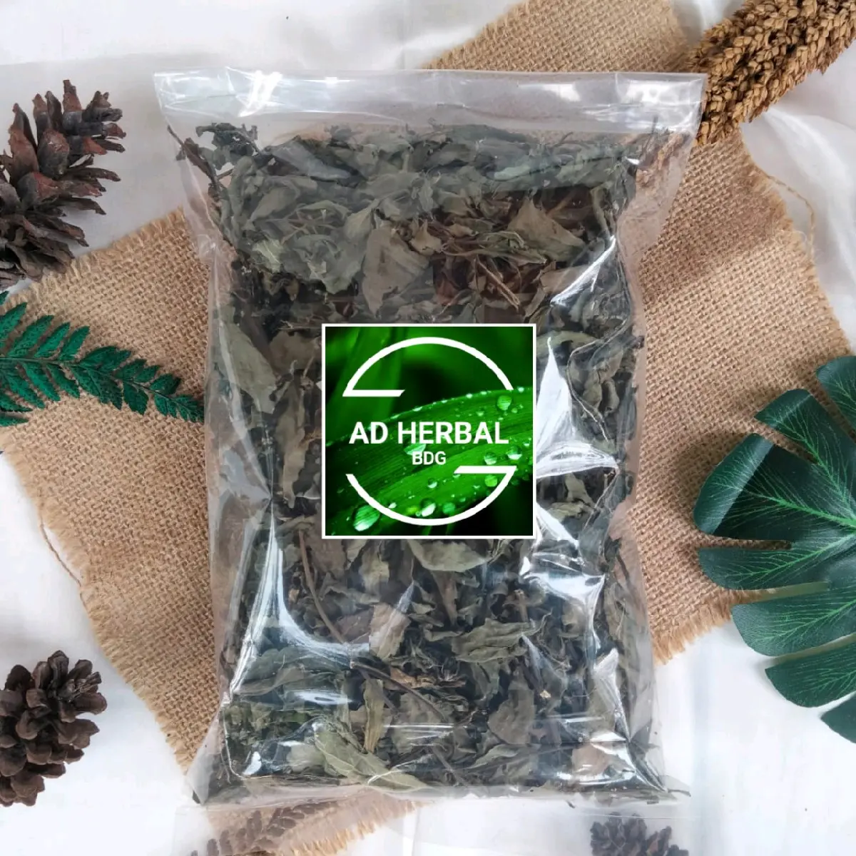 Daun Kumis Kucing Kering Isi  Per 100 Gram Spices