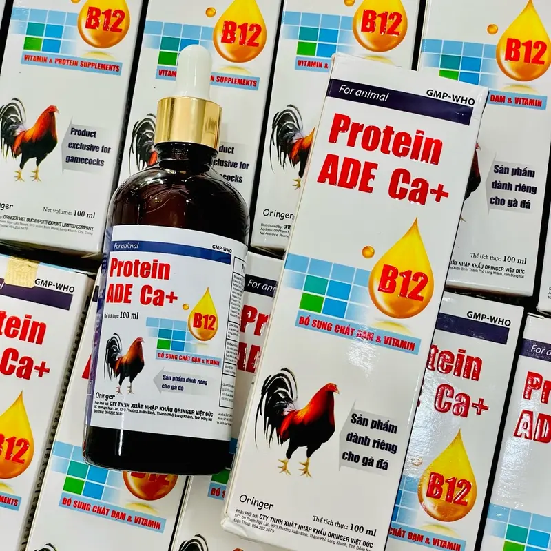 Protein ADE Ca+B12 (100ml) uống nuôi dùng cho đá, mau lên cơ, tăng bo, lì đòn, hừng hực, sung , tăng đề kháng  vào chế độ tốt.  nuôi tổng hợp cho gà tơ xung căng 1