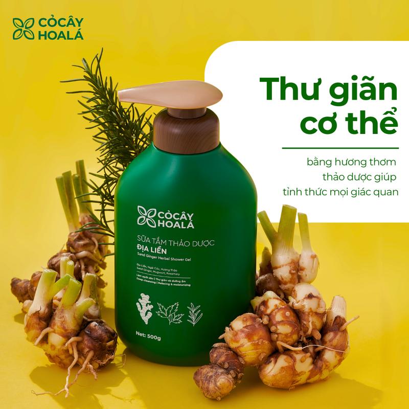 Sữa Tắm Thảo Dược Địa Liền Cỏ Cây Hoa Lá, Hương Thơm Tỉnh Thức Mọi Giác Quan 500g - Tặng Túi Dầu Gội Gừng Sả 30g 6