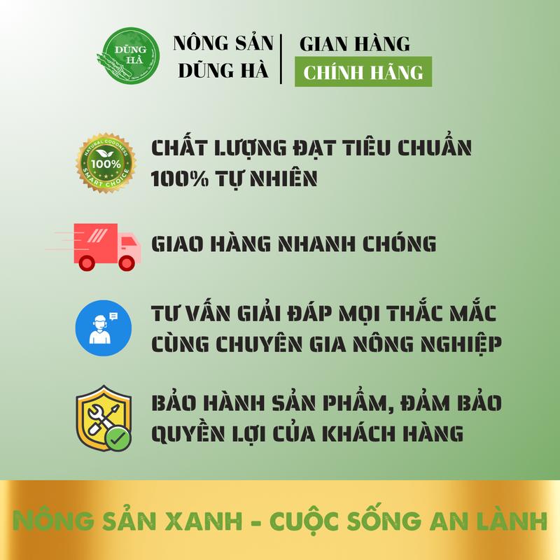 Ngó Sen ngâm sẵn chọn lọc, cắt lát sẵn đóng gói tiện lợi, nguyên liệu nhiều món ngon 1