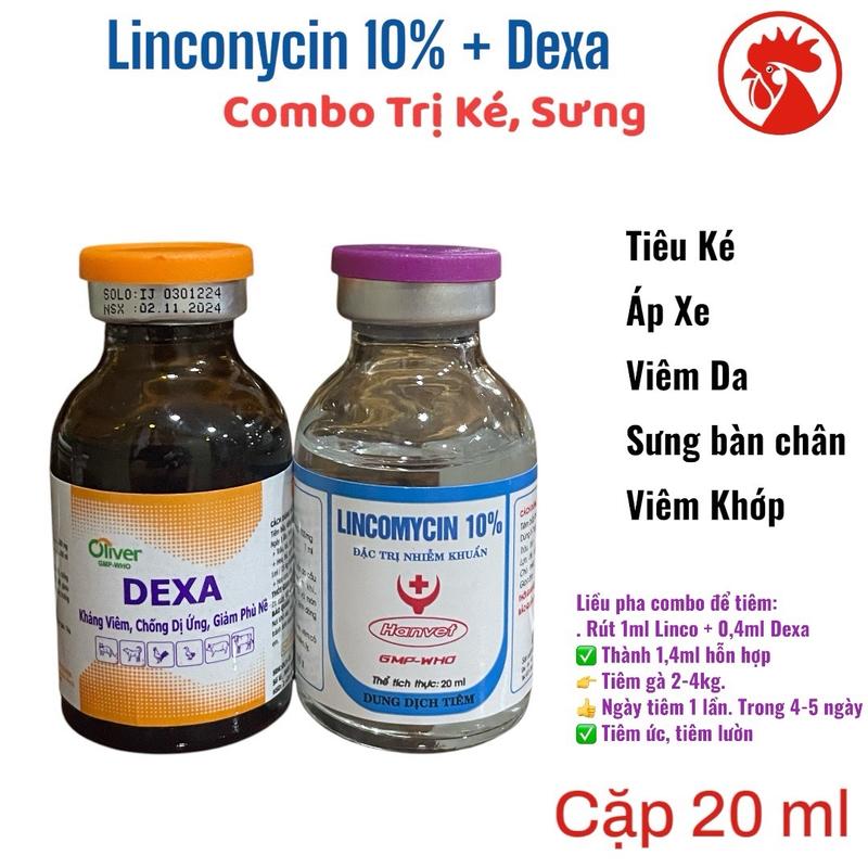  Combo 2 lọ tiêm trị ké sưng bàn chân viêm sưng khớp nhiễm trùng vết thương áp xe và viêm da trên gà đá chó mèo gia súc heo Lincomycin Dexa 
