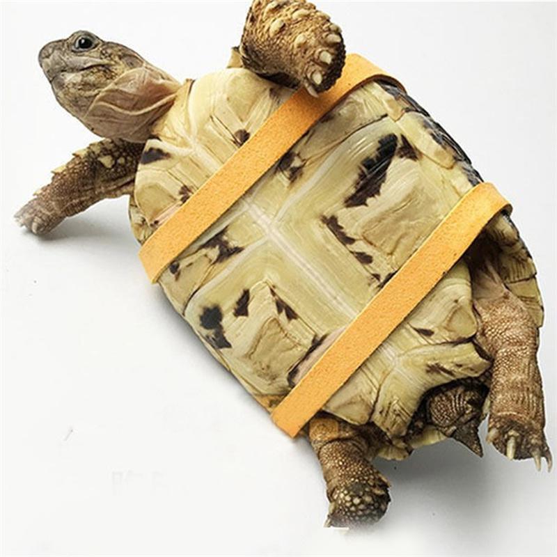 HG Pet Harness Reptile Leash Turtle Lizard Adjustable Outdoor Training Soft Strap Tortoise Reptile Adjustable Leashe Pet Supplies 3