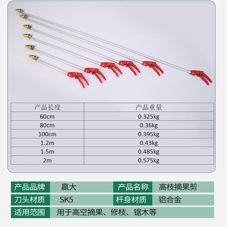 Product Introduction of Winda High Branch Fruit Picking Scissors Telescopic Fruit-Picking Device Gardening Scissor Litchi Longans Pomegranate Persimmon Picking Scissors Garden Tools 5