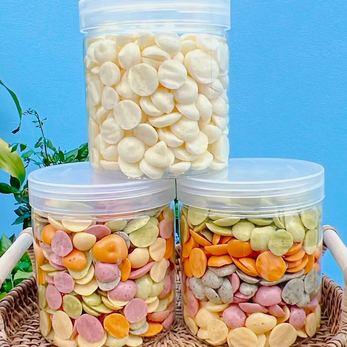Combo 2  hộp bánh vin rau củ và sữa chua 500ml Snack Food Ăn Vặt Snack Food Thức Ăn Cafe banh  keo