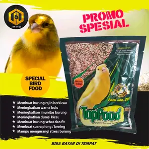 Top Food Kenari pakan burung kenari lomba dan harian