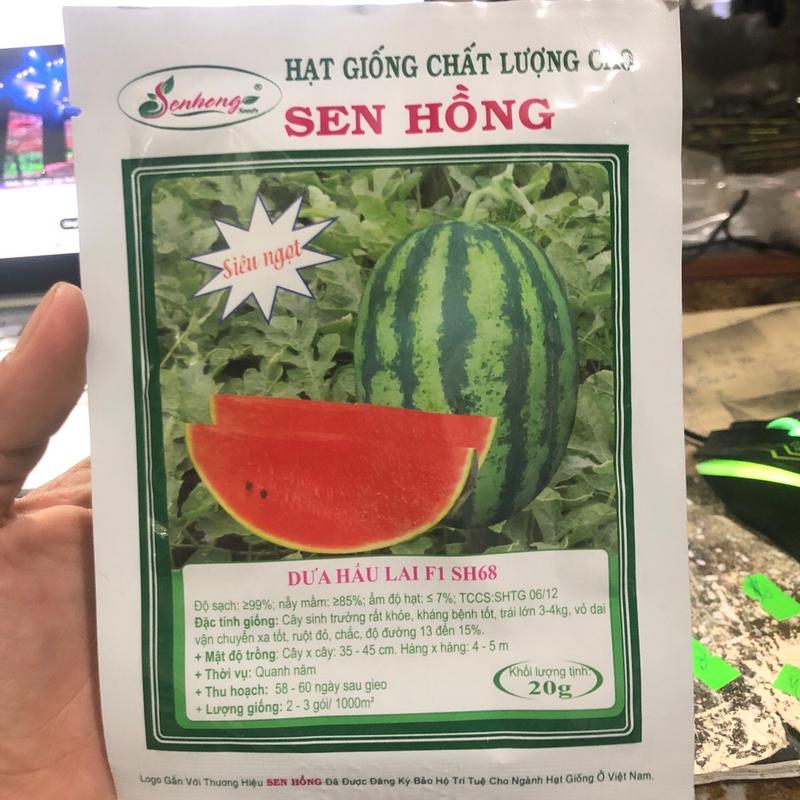 Hạt giống dưa hấu lai sh68 sen hồng gói 20 gam.